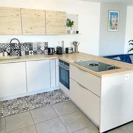 Chez Pablo, Maison Avec Jardin Et Parking Prive Reims